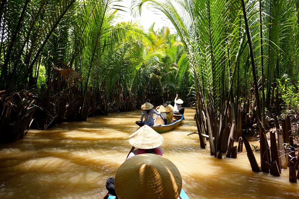 Er zijn talloze manieren om de boogpalmen drijvende markten en de biodiversiteit van de Mekongrivier te ervaren die zes landen met elkaar verbindt