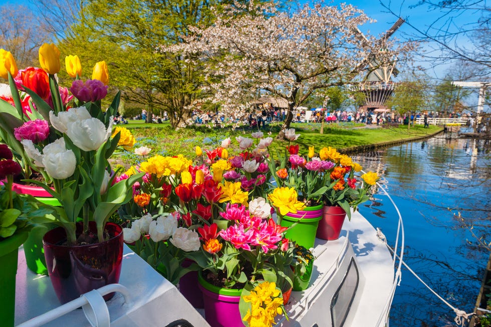 perahu dengan pot bunga di taman keukenhof belanda