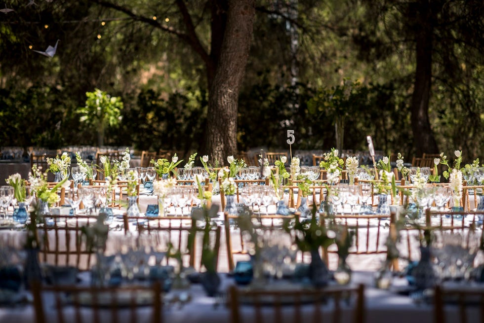 5 MEJORES LUGARES DE LA FINCA SOTO DE GRACIA PARA TUS FOTOGRAFÍAS