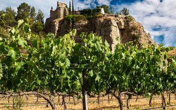 imagen de una de las bodegas de vino bonitas cerca de madrid