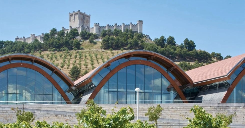 bodegas protos