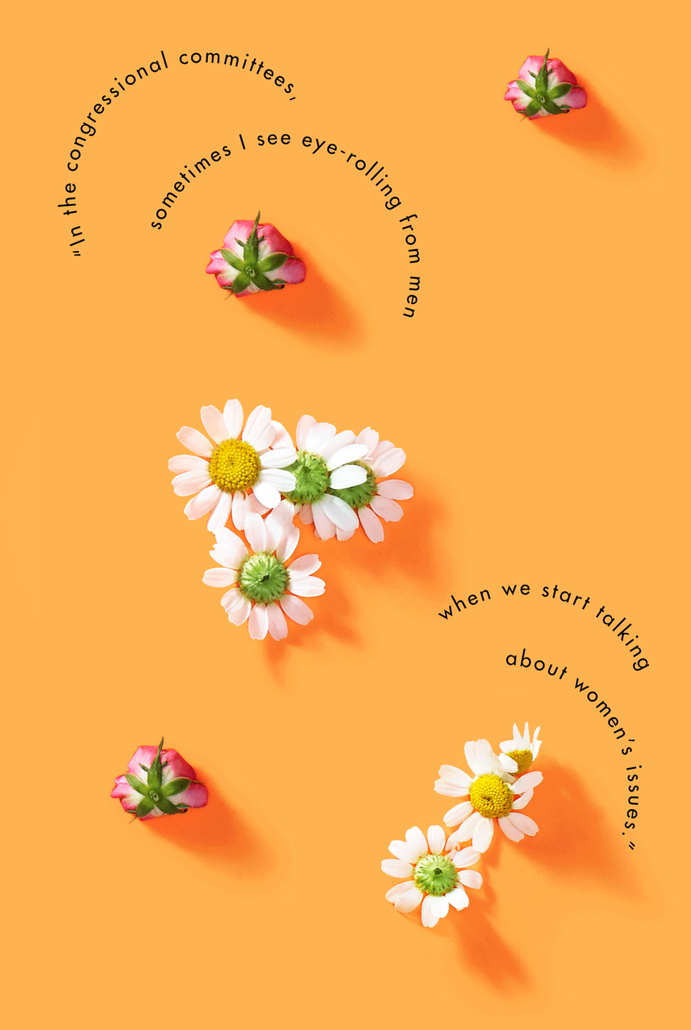 Orange, Flower, Plant, Wildflower, Floral design, Illustration, Petal, 