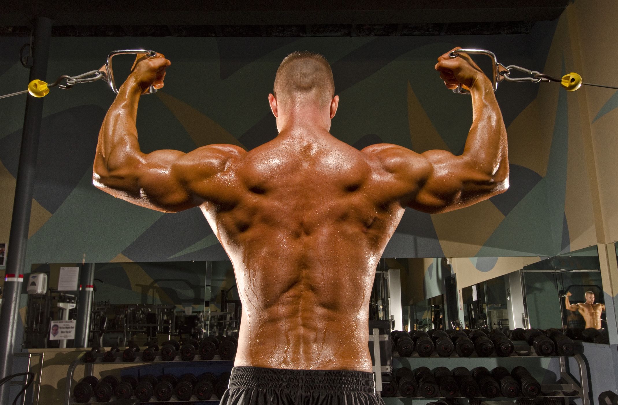 Here's a good back and bicep - BodyBuilding Tips & Tricks