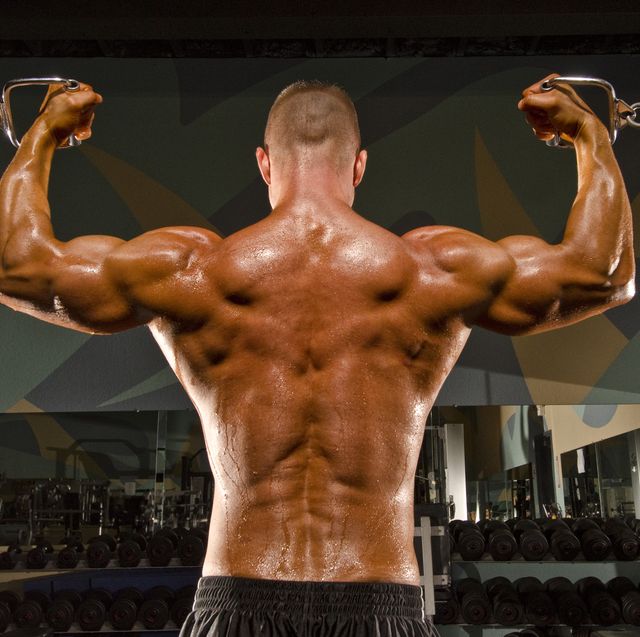 Back and Biceps Workout Routine: Exercises for Defined Back and Biceps