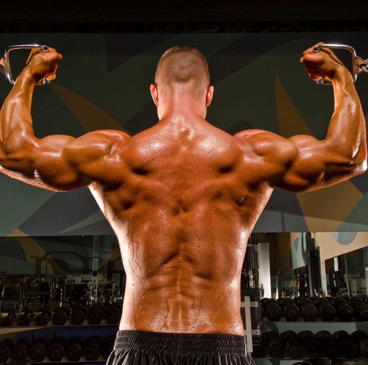 Back and Biceps Workout Routine: Exercises for Defined Back and Biceps