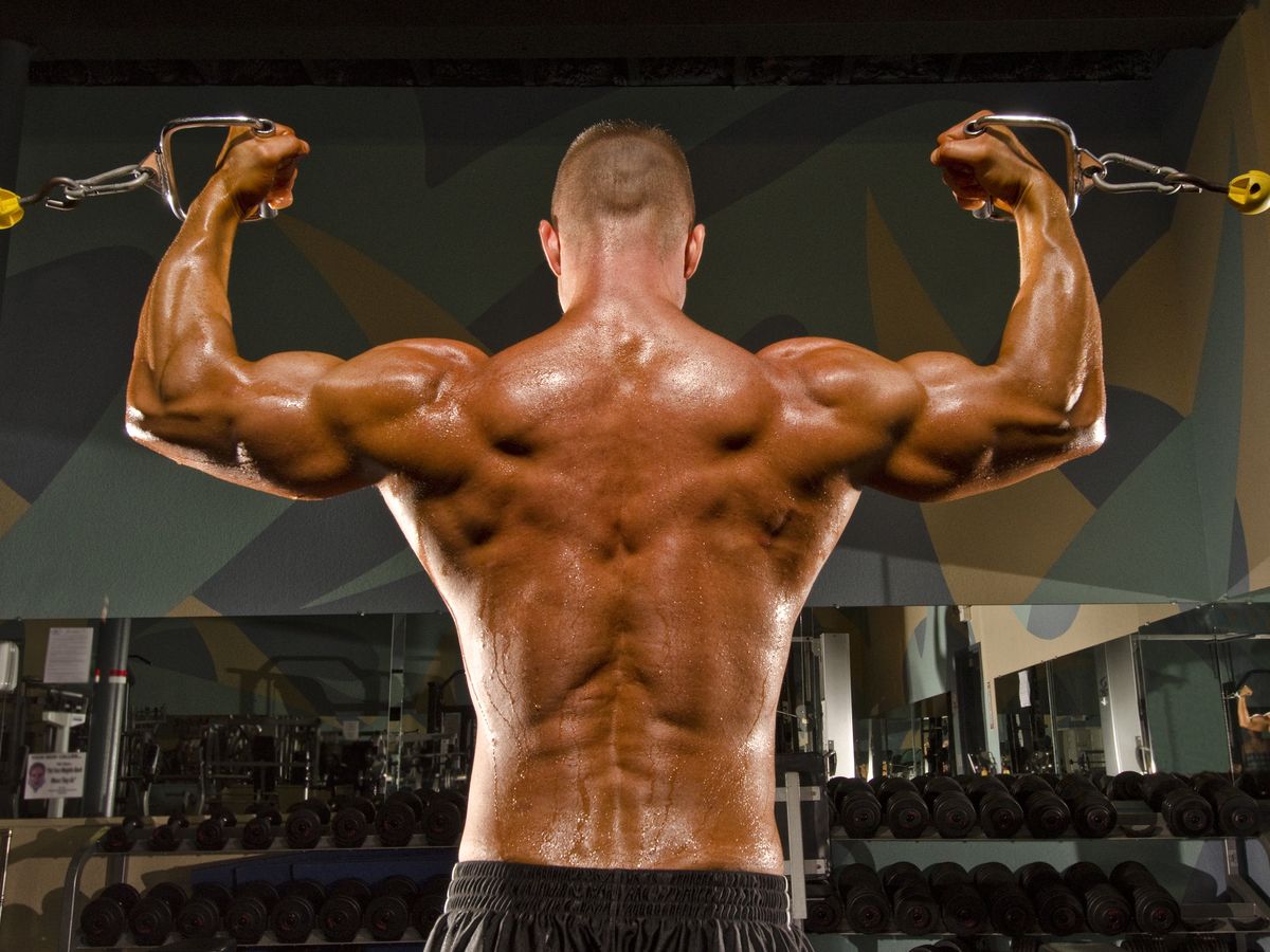 Effective Back and Biceps Workout
