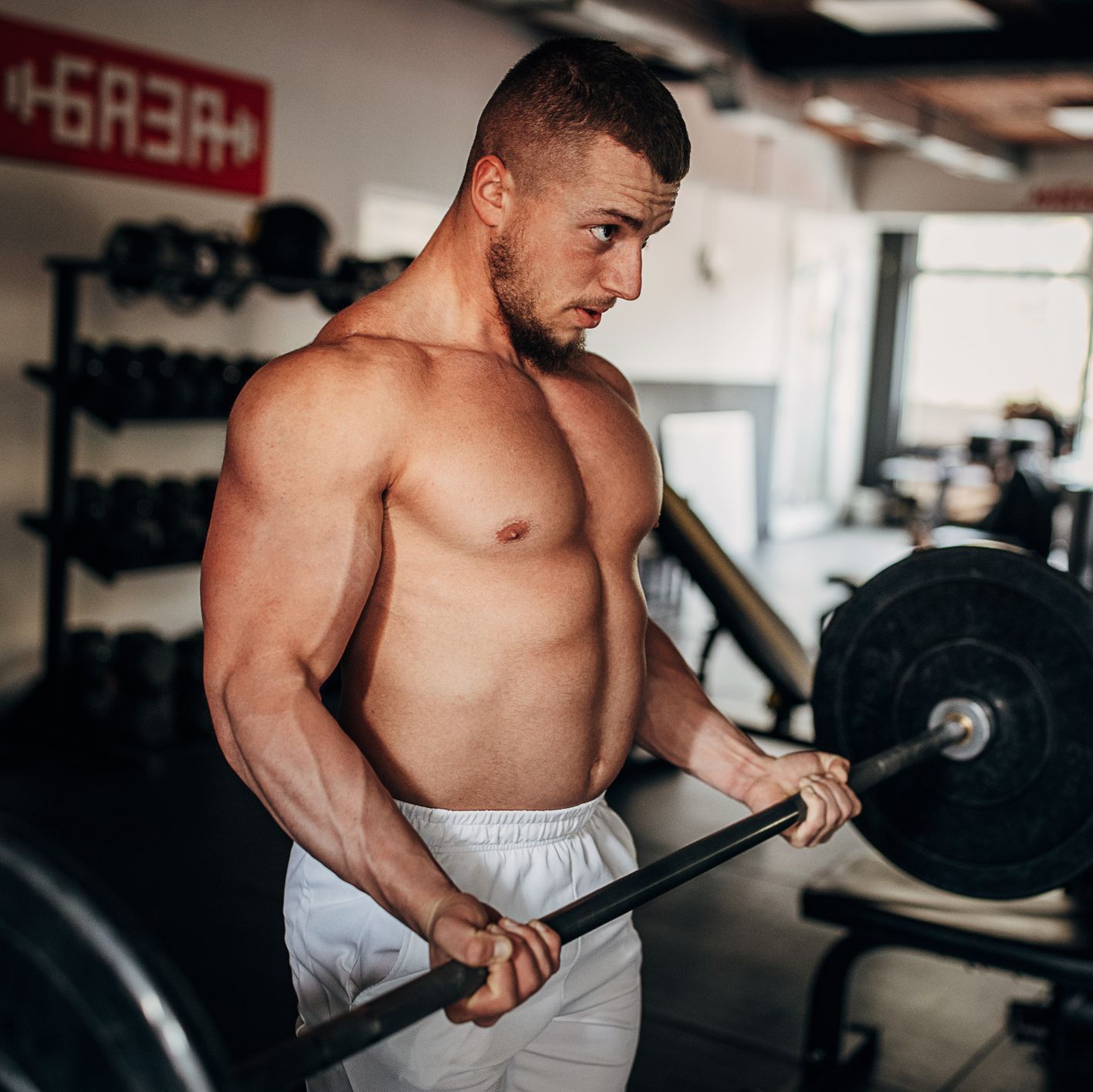 How You Can Master the New Science of Arm Day Training