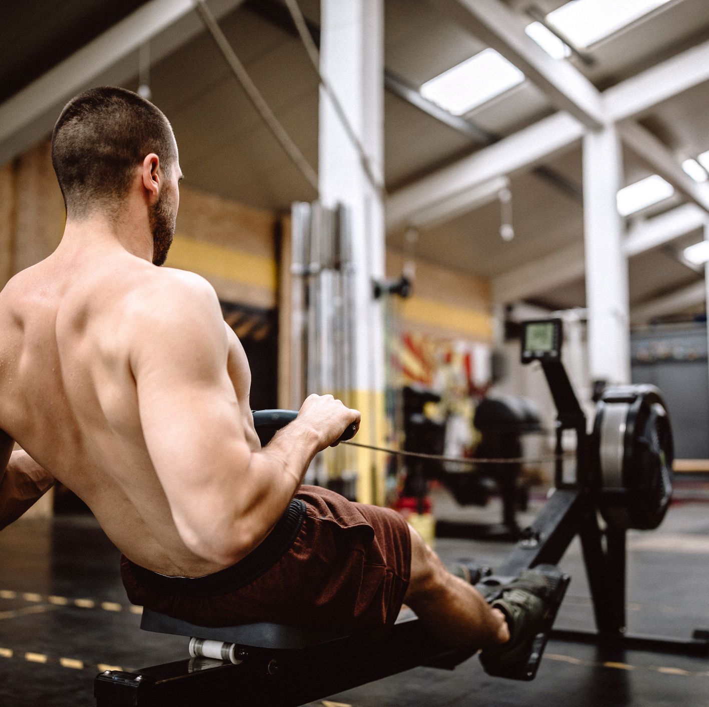 rowing machine muscles