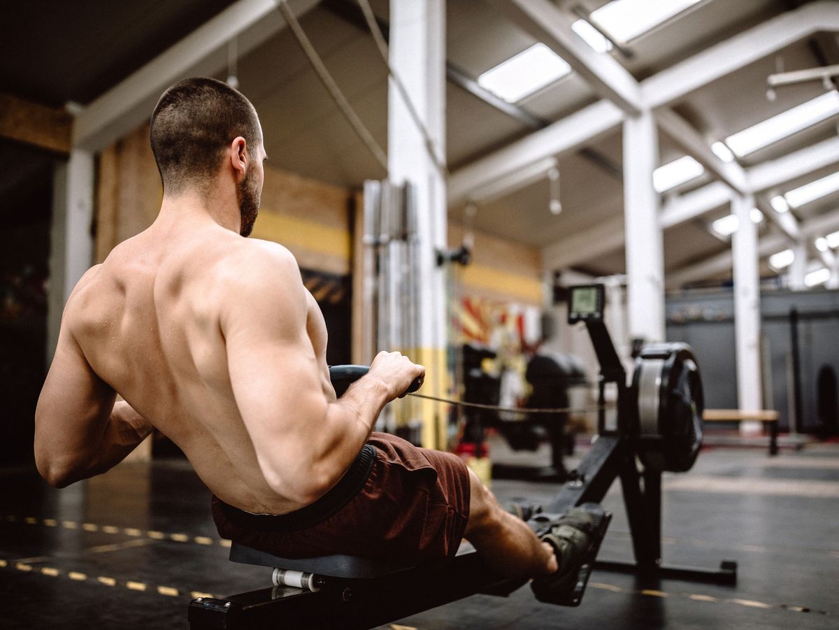 What Muscles You Work With a Rowing Machine - Rower Workouts