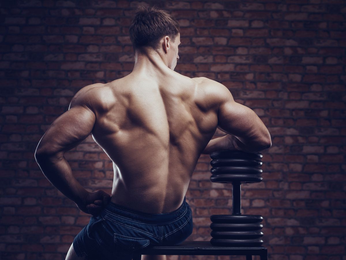 Muscle building shoulder exercises