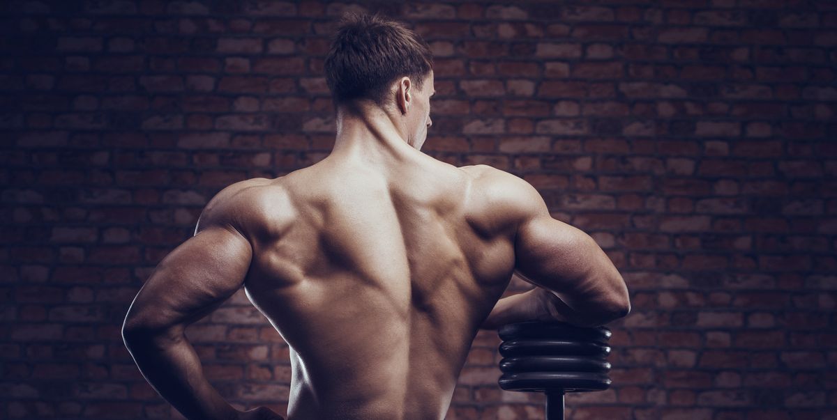 Les 22 meilleurs exercices d’épaule pour les hommes pour développer leur force et leur taille