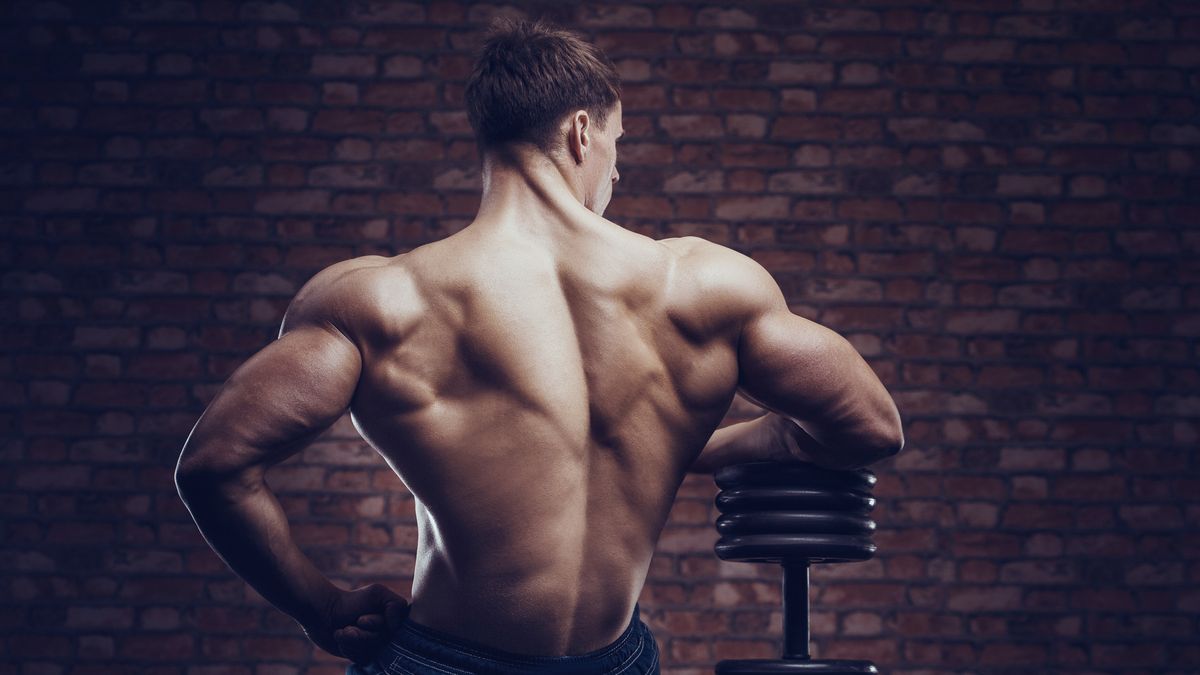 The 8 Best Muscle-Building Machine Exercises - Muscle & Fitness