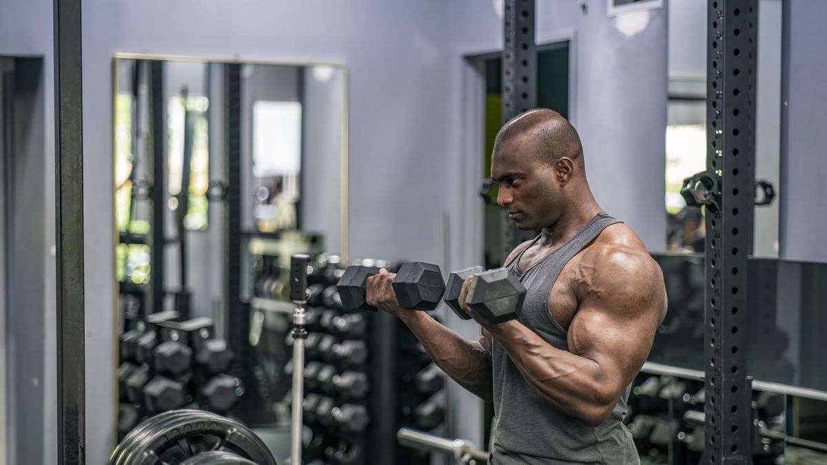 The 4 Must-Train Muscles for Big Arm Mass and Strength