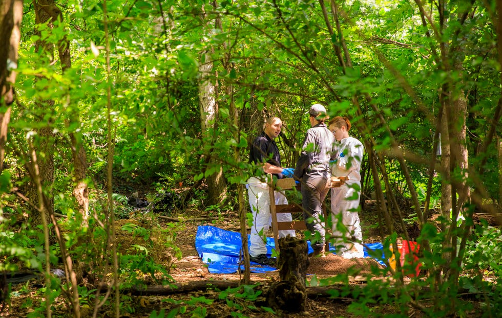 university of tennessee body farm