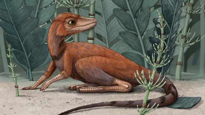 The Dinosaur's Ancient Ancestor Was Tiny. Really Tiny.
