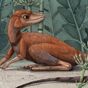 artist rendering of kongonaphon kely, a dinosaur and pterosaur ancestor