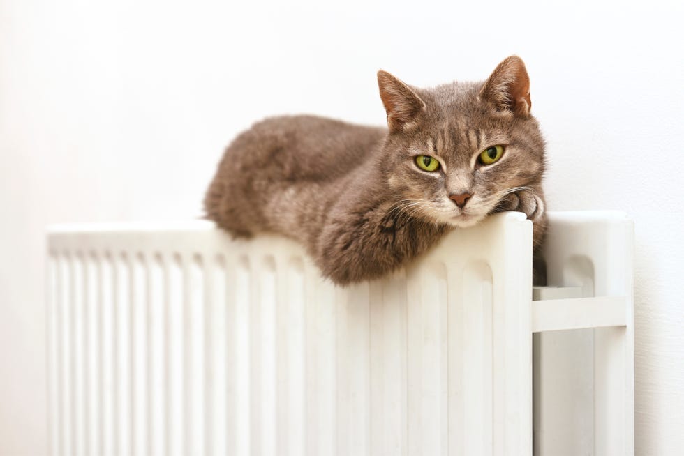boiler care