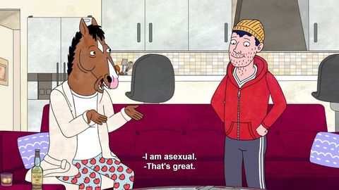 Bojack Horseman Clip on Todd's sexuality