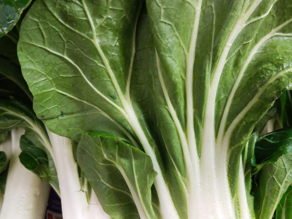 bok choy up close