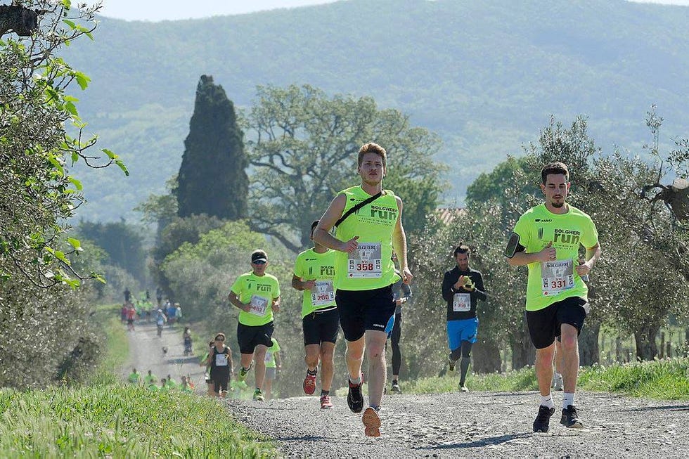 bolgheri run