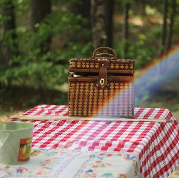 Picnic, Tree, Recreation, Event, Table, Picnic basket, Forest, State park, 