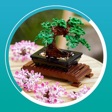 bonsai and cherry blossom lego set