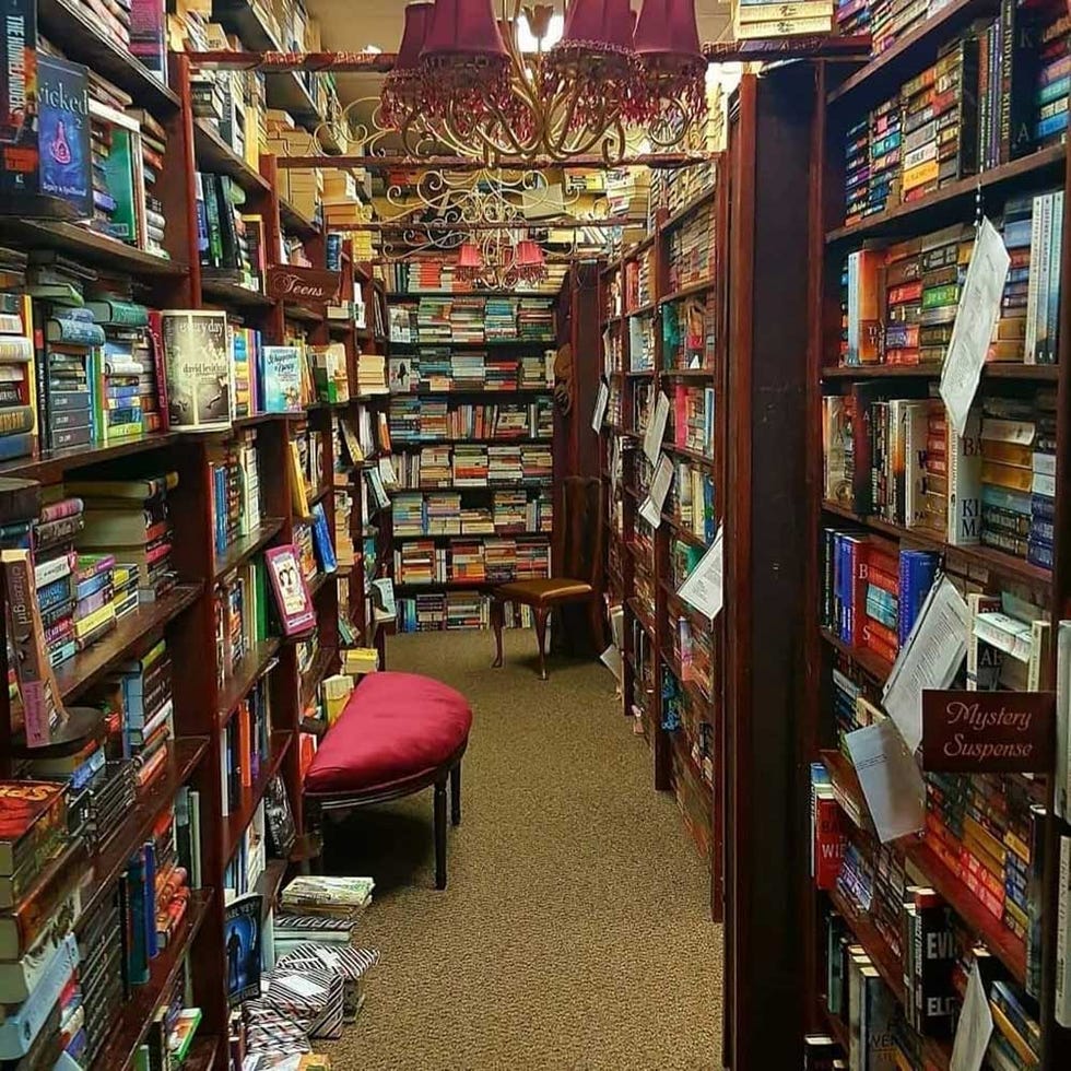 the book cellar