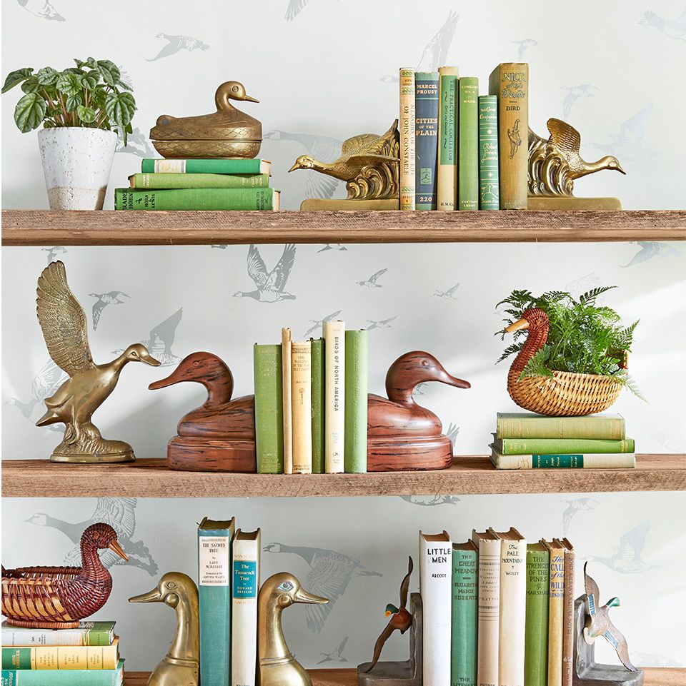 Bookshelf ideas using duck bookends