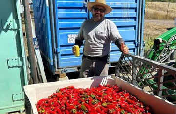 a person standing next to a box of peppers