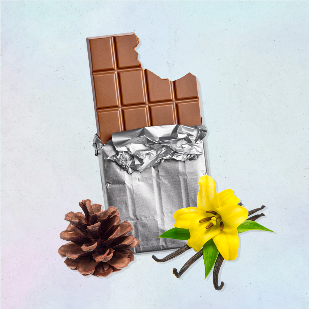 a pinecone, a bar of chocolate, and vanilla