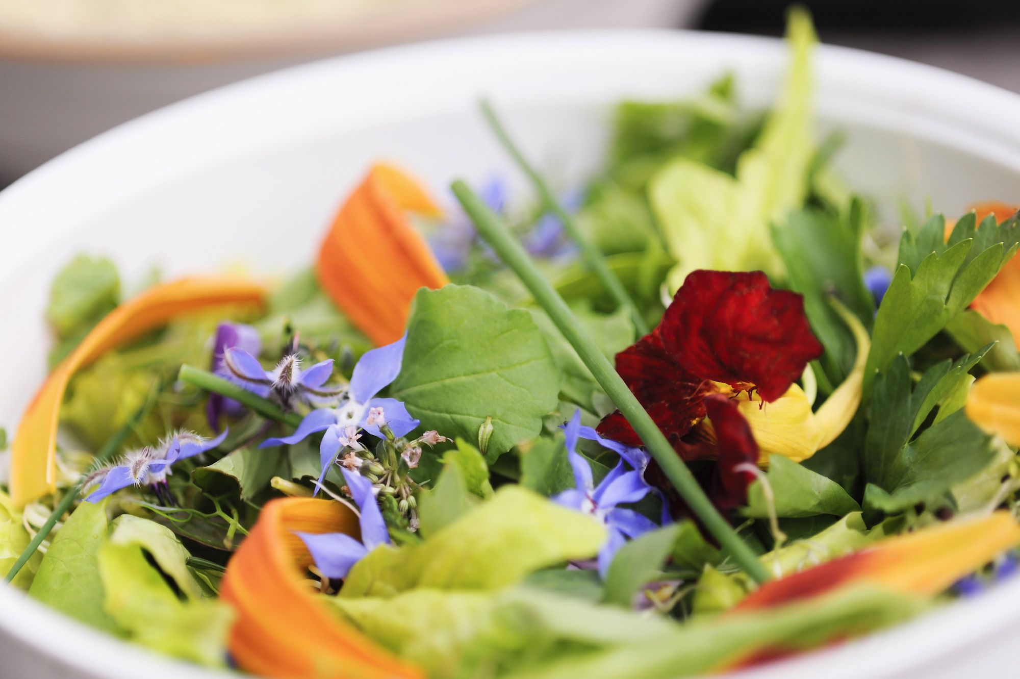 The 10 Best Edible Flowers To Decorate Your Food, According To A