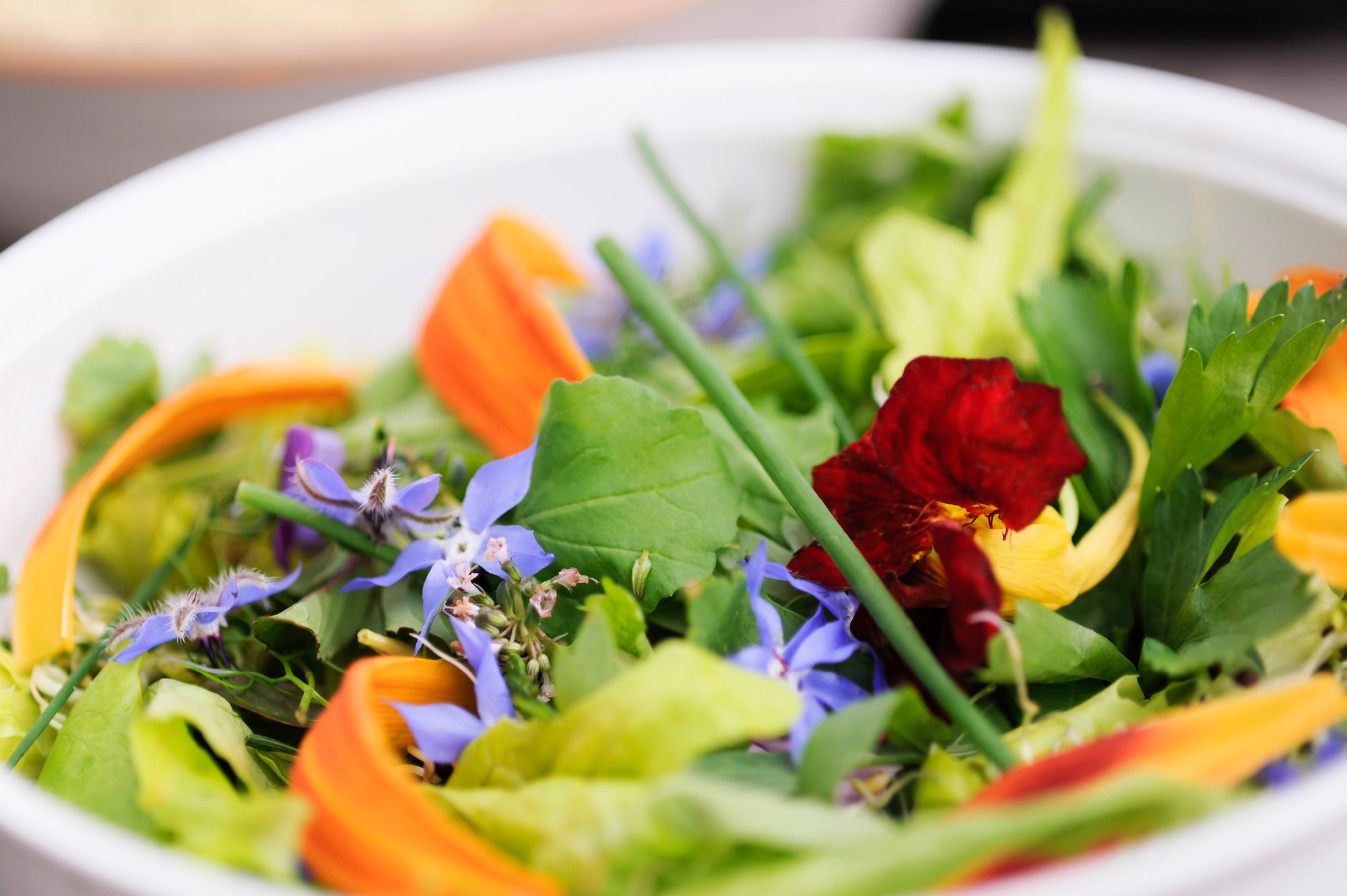 flores de borraja en ensalada
