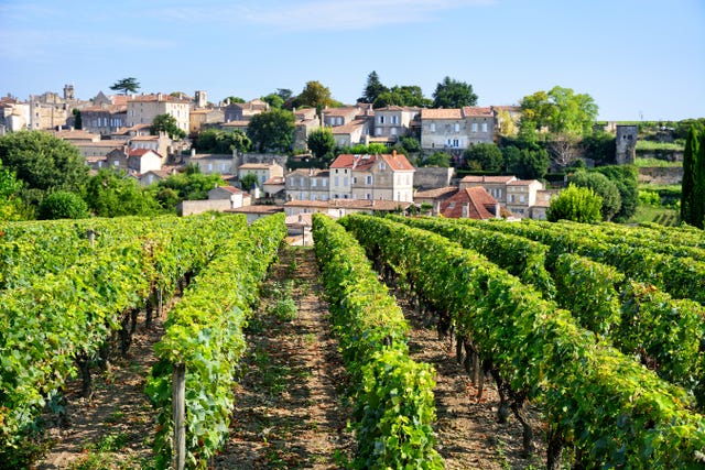 vineyards in the village of saint emilion in the nouvelle aquitaine region of france