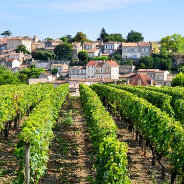 vineyards in the village of saint emilion in the nouvelle aquitaine region of france