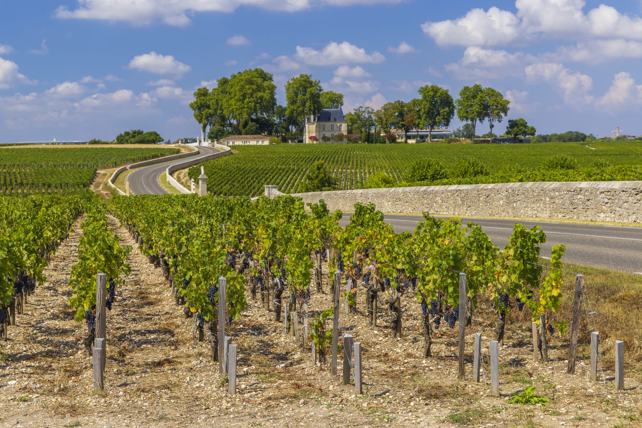 Bordeaux vineyards outlet