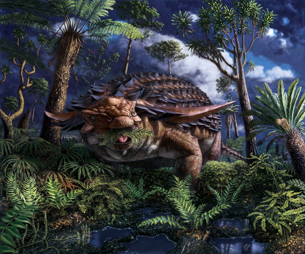 Zon 110 miljoen jaar geleden voedde een nodosaurus van de soortBorealopelta markmitchellizich in het noordwesten van het huidige Alberta Canada met varens die in een deels geblakerd landschap groeiden  een detail dat naar voren kwam tijdens een nieuwe analyse van de maaginhoud van het dier