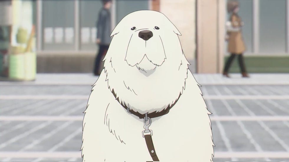 Who is the best Dog in Anime? - Forums 