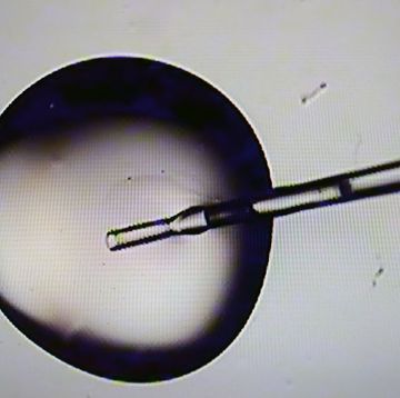 a microscopic view of a cryo solution during embryo prep in the ivf lab