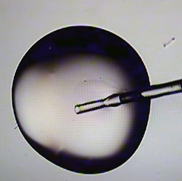 a microscopic view of a cryo solution during embryo prep in the ivf lab