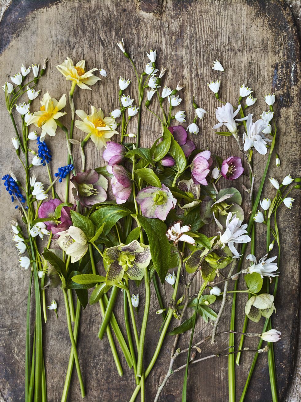 botanical artist creating flower casts