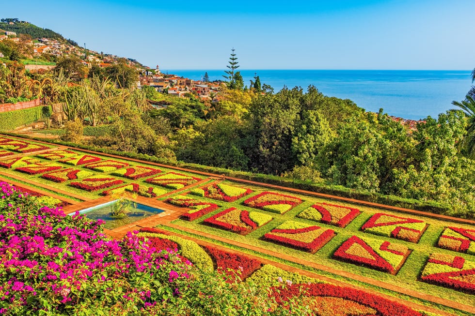 jardín botánico en funchal, madeira