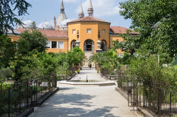 botanical garden, orto botanico di padova