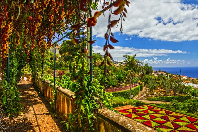 Join Joe Swift on a Madeira’s best gardens holiday