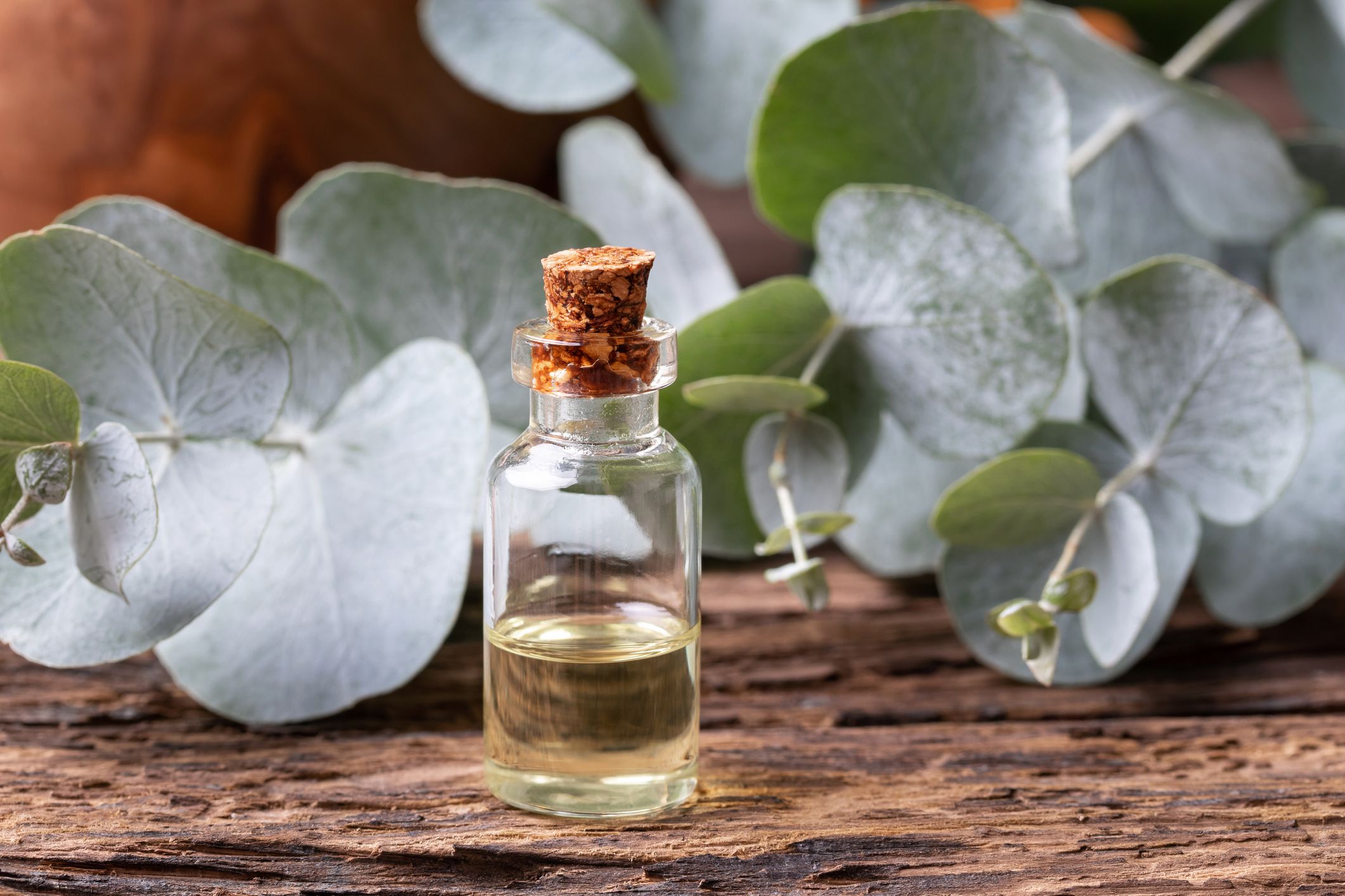 9 Amazing Eucalyptus Oil Benefits - How to Use Eucalyptus Oil