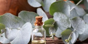 eucalyptus oil benefits