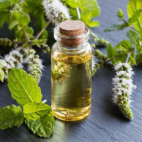 A bottle of peppermint essential oil