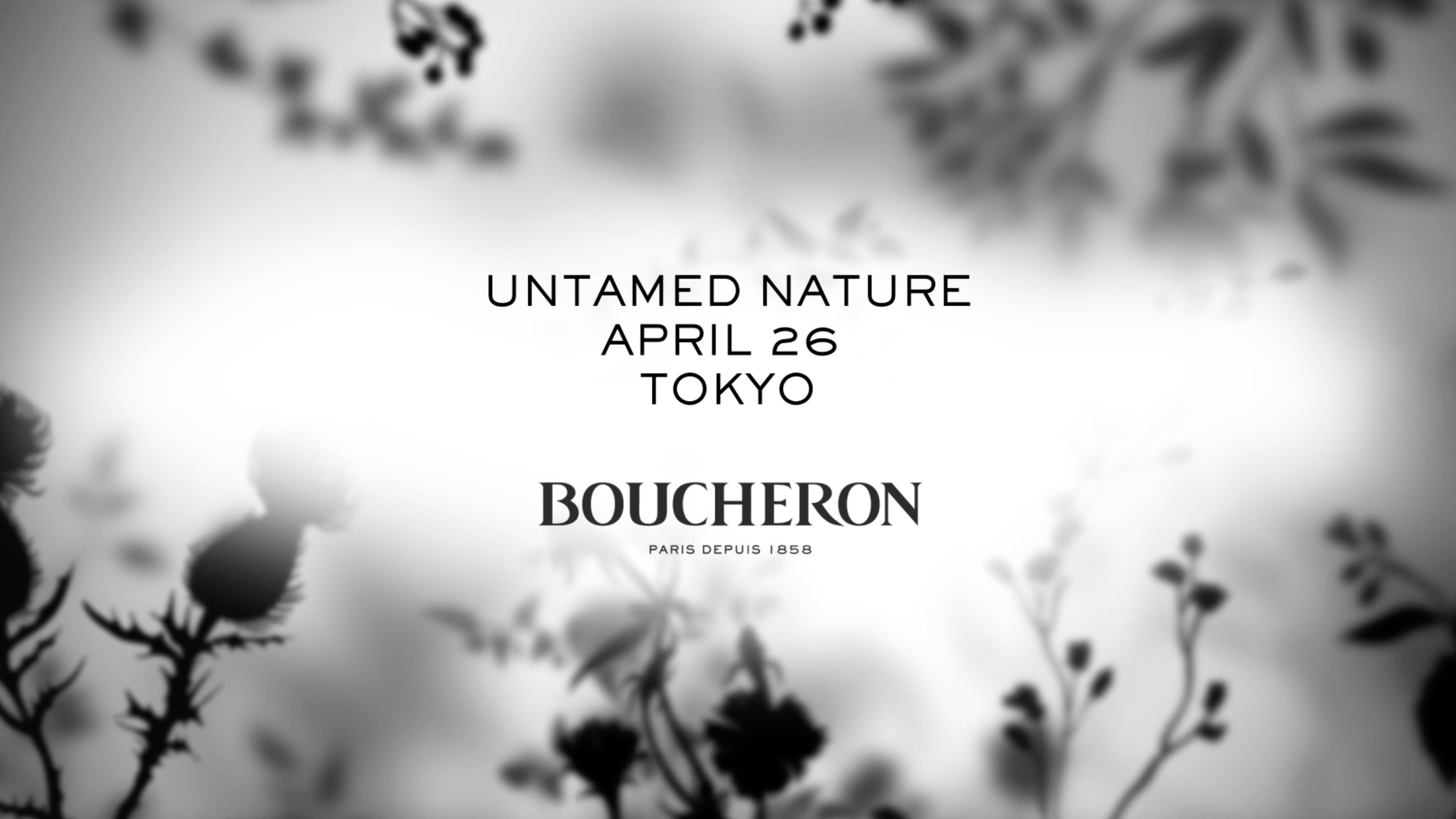 Amazon.co.jp: ブシュロン写真集BOUCHERON 囚われの煌めき宝石