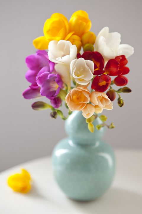 bouquet of colourful freesias