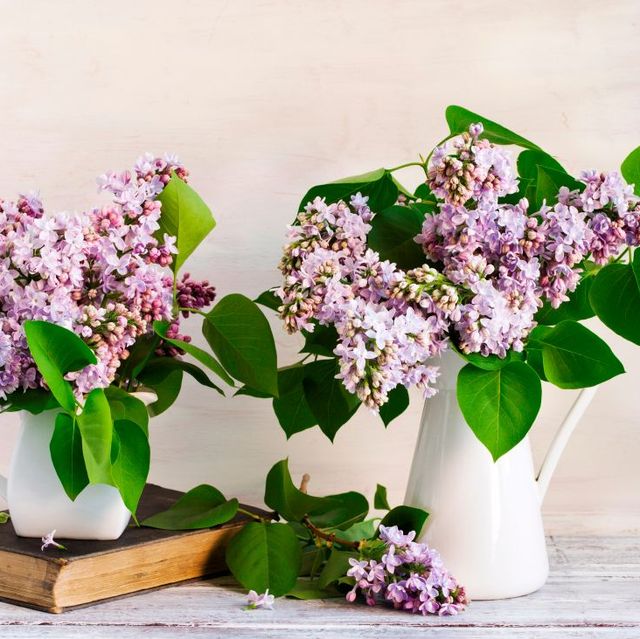 Best flower vases - The best flower vases for your home