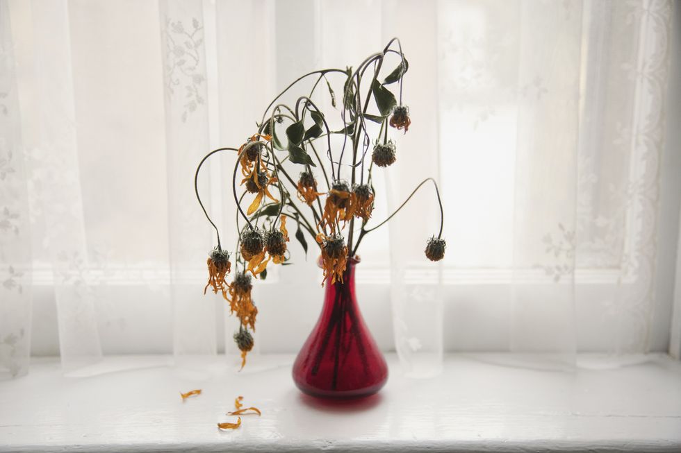 bouquet of wilting flowers in windowsill